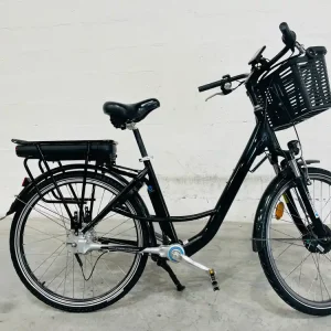 Lage Kosten Arcade e-Cardan