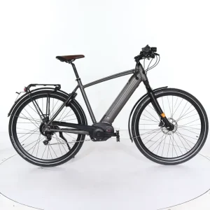 Lage Prijs Gazelle Cityzen Speed 380