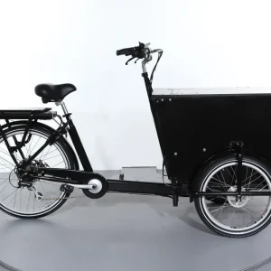 Babboe Pro Trike-E Merkproduct