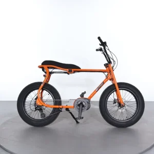 Ruff Cycles Lil Buddy Tijdelijk Beschikbaar