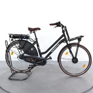 Veilige Betaling Wayscral Everyway E100