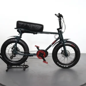 Ruff Cycles Lil Buddy Koop Vandaag