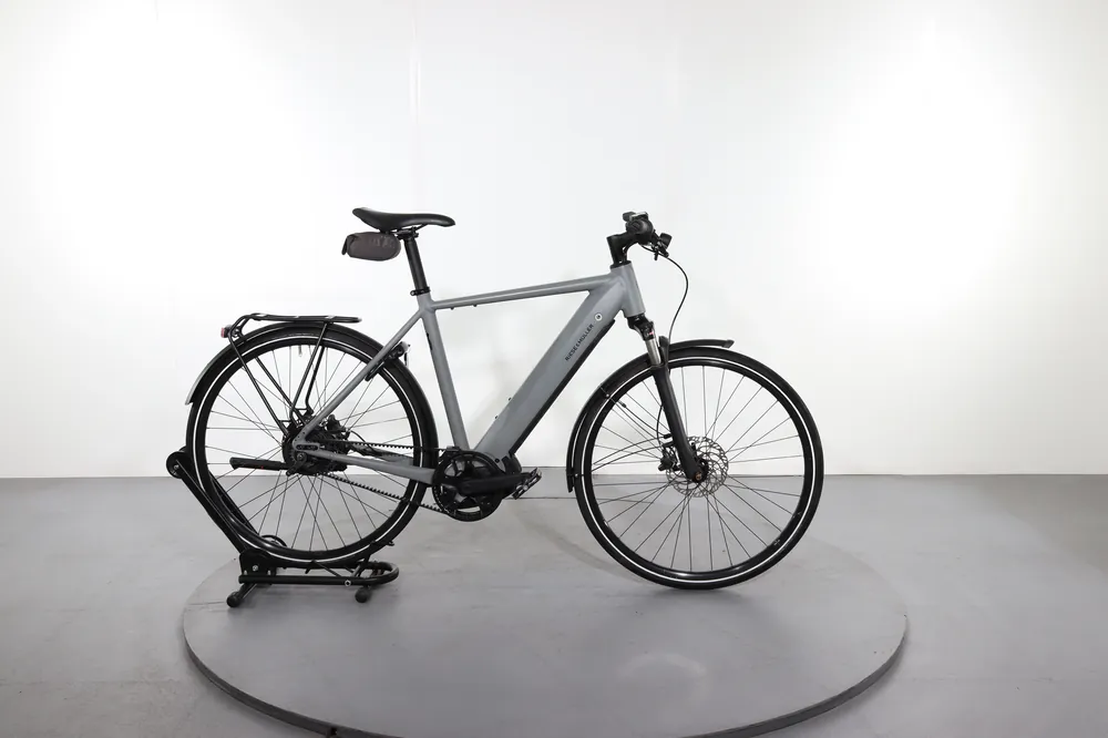 Riese & Müller Roadster vario Favoriet