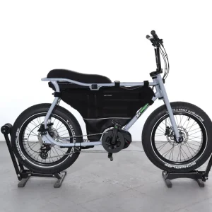 Ruff Cycles Lil'buddy Gecertificeerd