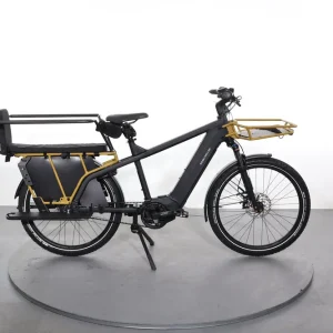 Must-Have Riese & Müller Multicharger2 GT Vario