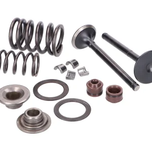 Betaalbaar Kleppenset Cilinderkop Naraku V.2 voor GY6, Kymco 2V 90cc
