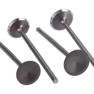 Koop Online Kleppenset Cilinderkop Naraku 21/23 voor Yamaha X-Max, YZF, WR 125 4V