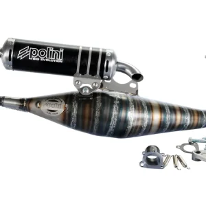 Koopje Uitlaat Polini Racing Big Evolution Limited Edition TWD Piaggio 70cc 2-Takt