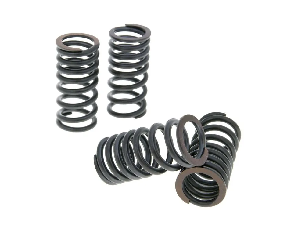 VentilfedernSet Malossi Sport voor Aprilia, Gilera, Malaguti, Piaggio 400, 500cc Beste Prijs