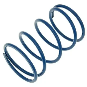 Betrouwbaar Drukveer Malossi MHR blauw +106% voor Kymco, Honda, GY6, Piaggio