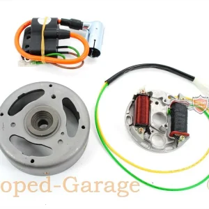 Fabrieksprijs Ontsteking Compleet 12V 35W Vliegwiel 116,5mm Grondplaat 90mm voor Kreidler Florett, Flory, Zündapp GTS, KS, C, CS, CX, ZD, R 50, Brommer, Brommer, Mokick