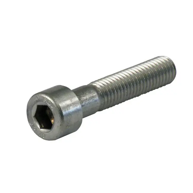 Direct Beschikbaar GW inbusbout roestvrij 1/4-20 25 stuks 1 1/2"