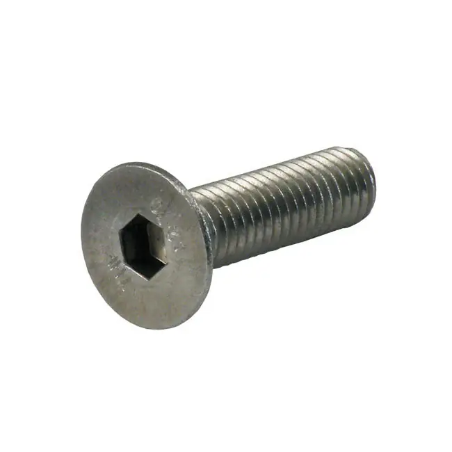 Alleen Vandaag GW platte inbusbout roestvrij 1/4-20 5-pak 1 3/4"