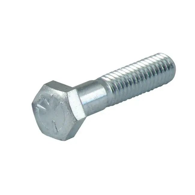 Direct Verzonden GW Zeskantbout zink M10 25-pak 100mm