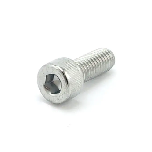 Beperkte Voorraad Colony Inbusbout Chroom M8 10-Pack 20mm