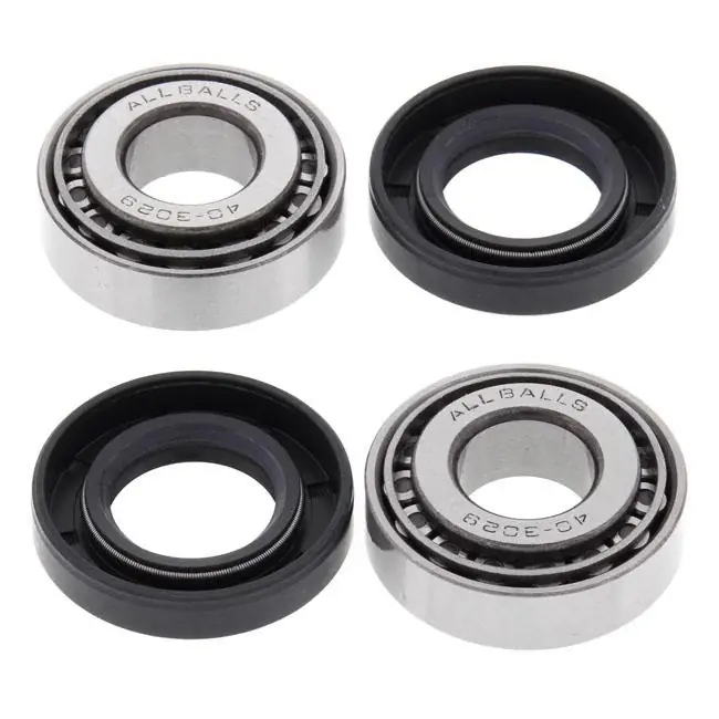 Express Levering All Balls Swingarmlagerkit 579833