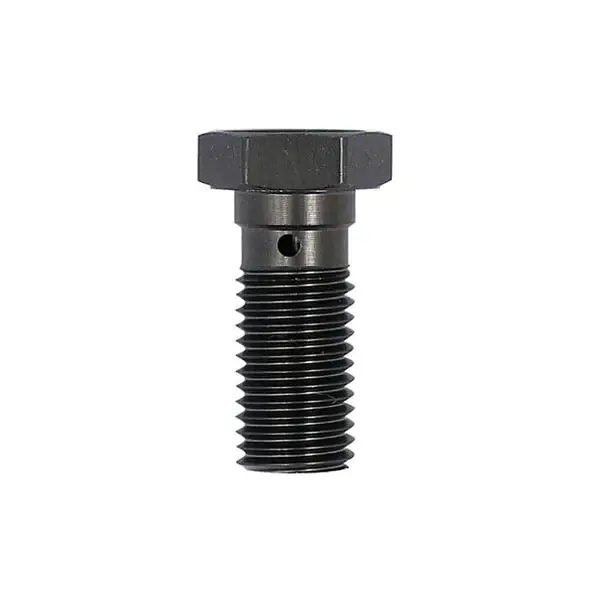Laatste Kans TRW banjobout M10 x 1.0 x 23mm (Standard) / Stainless steel